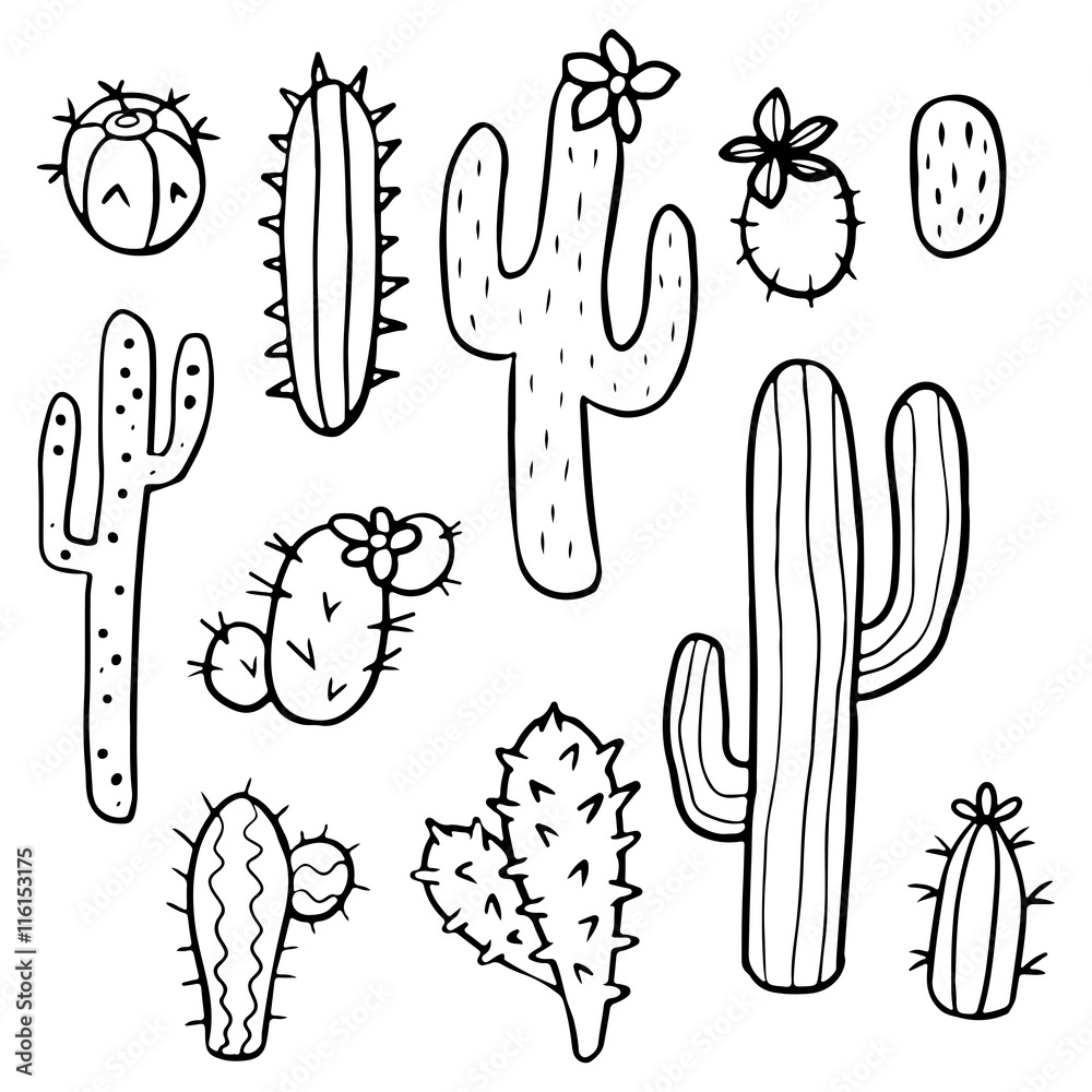 Set of various hand drawn cactus plants