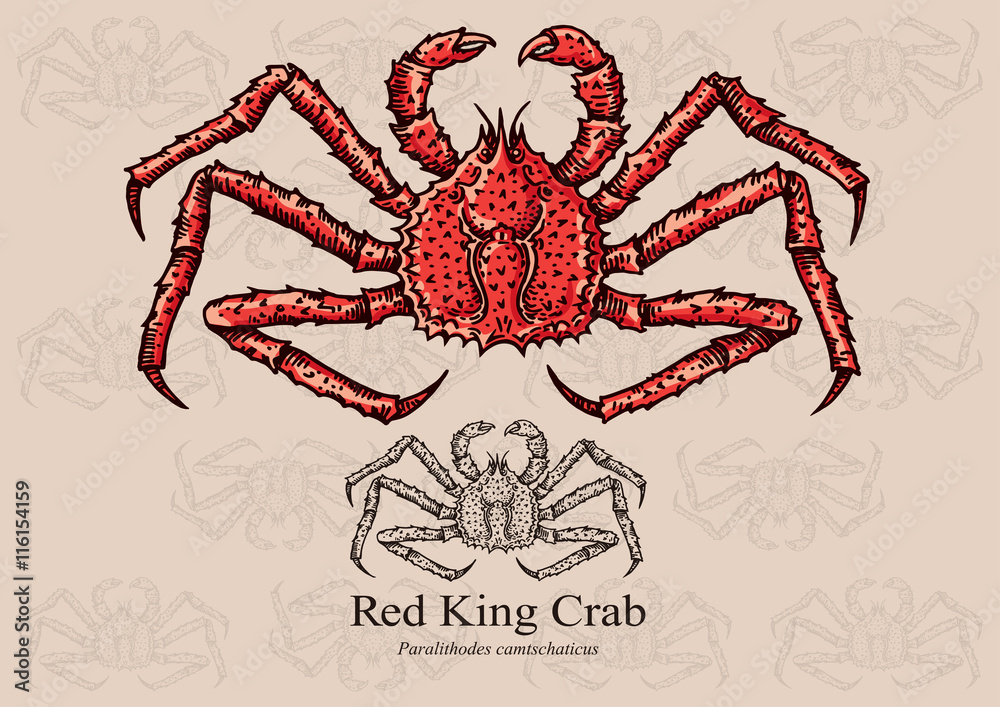 Best Time for King Crab Season 2023 AtOnce