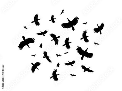 A flock of birds flying in a circle on a white background. Vector illustration.