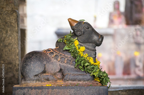 Statue of Nandi Bull with flowers in indian temple. Side view.