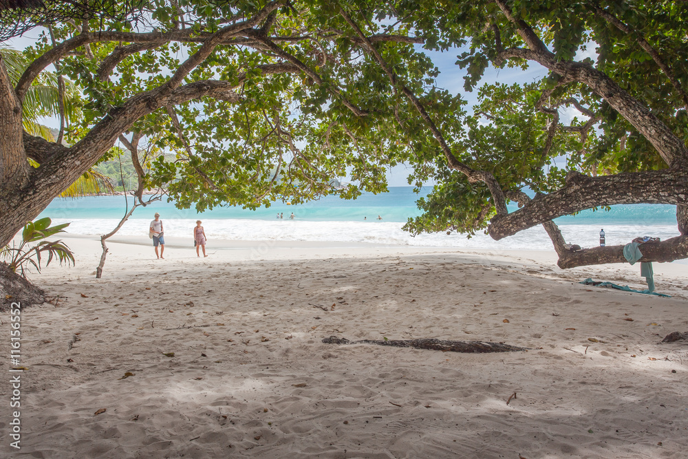 plage d'anse Lazio du côté de chez Bonbon Plume, Praslin, Seychelles foto  de Stock | Adobe Stock