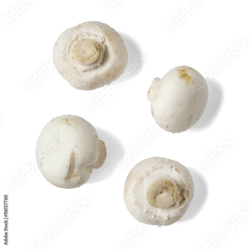 Individual cup mushrooms isolated on a white background