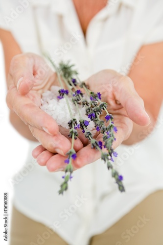 Quadro su tela Midsection of woman holding flowers