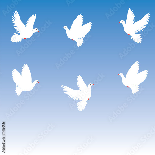 Doves soaring romantic soft spring summer blue background vector Some items are made in the style of a careless handmade techniquee © istorsvetlana