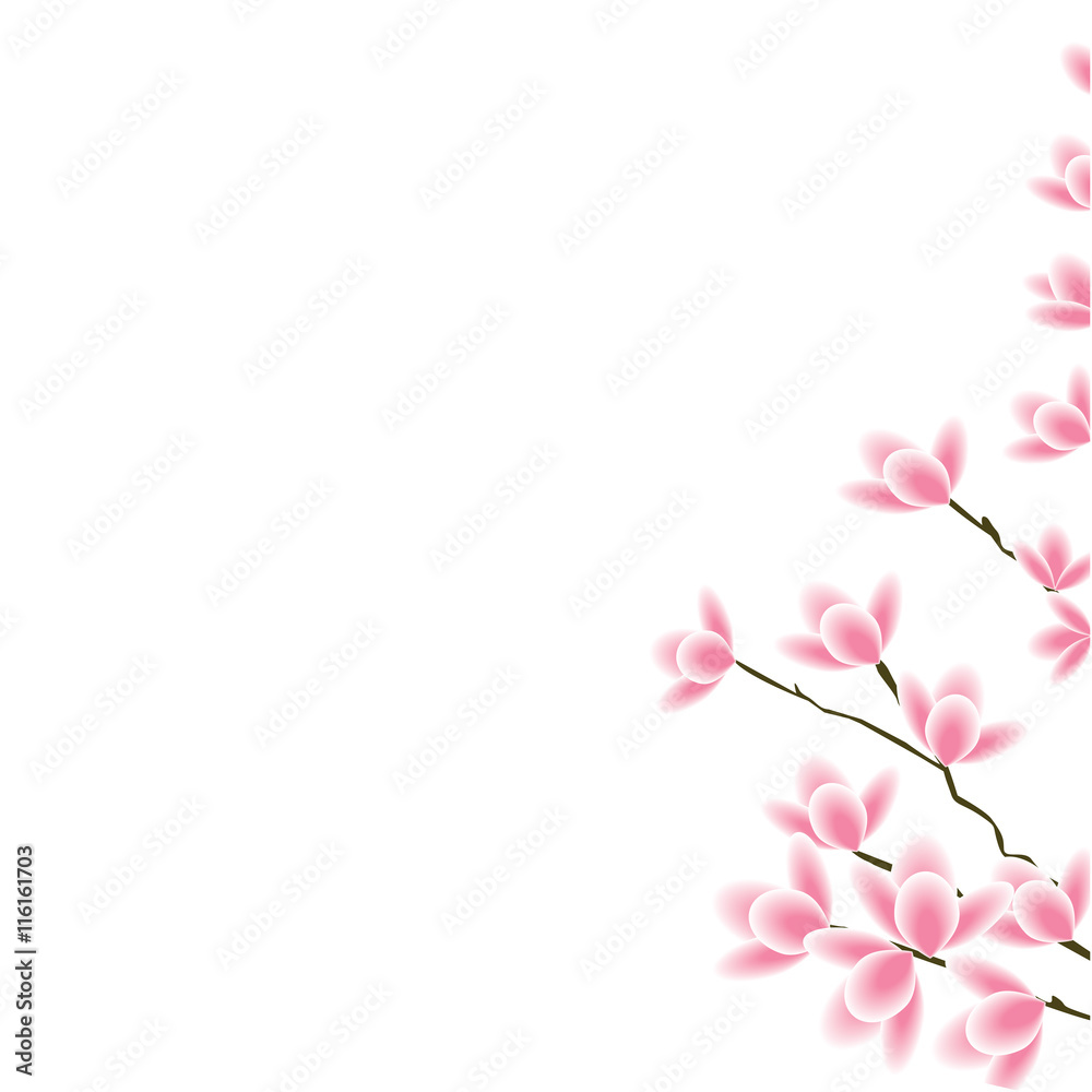 flowers on the branch sakura pink isolated white background element for design vector