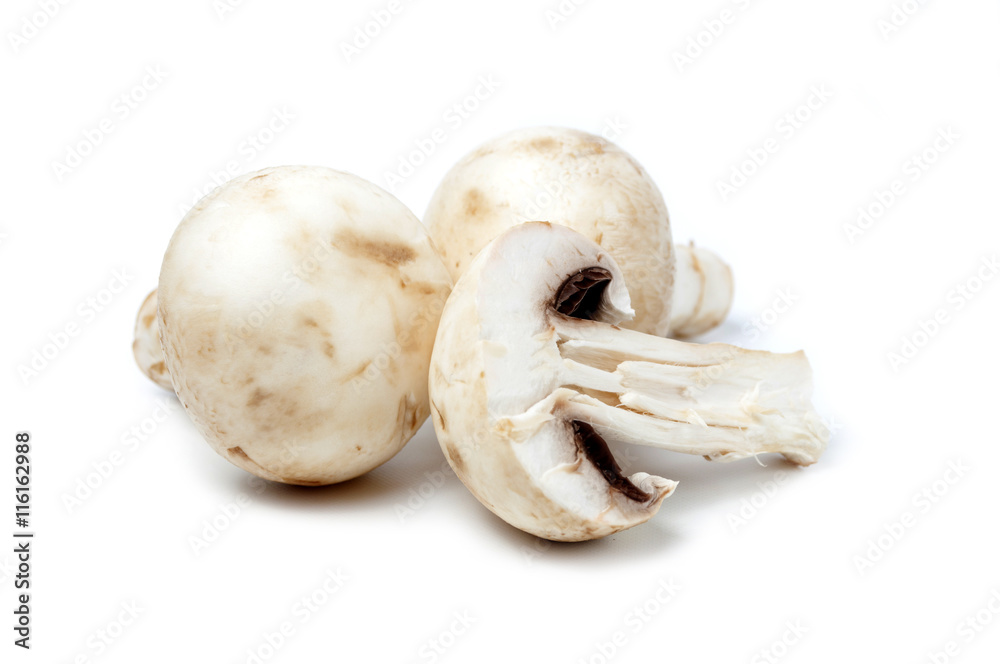 Fototapeta premium Mushroom champignon isolated