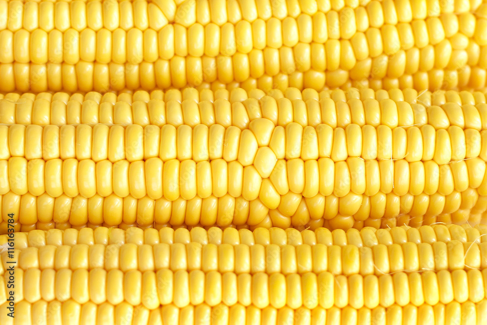 Corn use as background Corn use as background