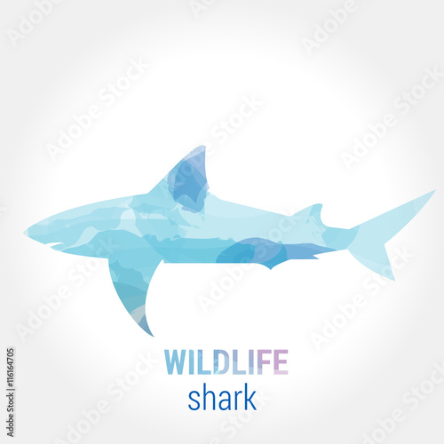 Wildlife banner - fish shark