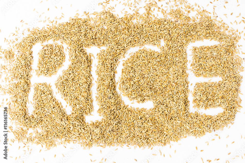 Paddy with rice alphabet isolated on white background.Raw food or Rice has not yet been processed Paddy with rice alphabet isolated on white background.Raw food or Rice has not yet been processed