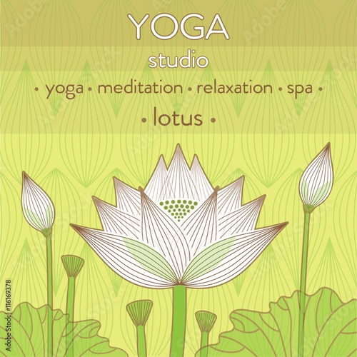 decorative lotus flower bud background for yoga studio design