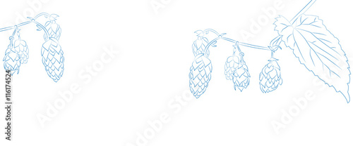 Banner mit Hopfen - Vektor in Blau