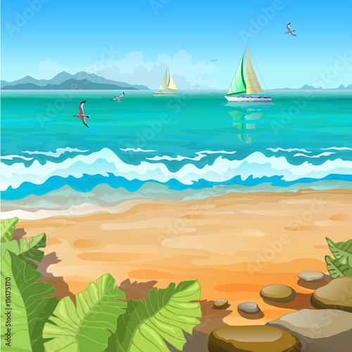 Marine tropical landscape