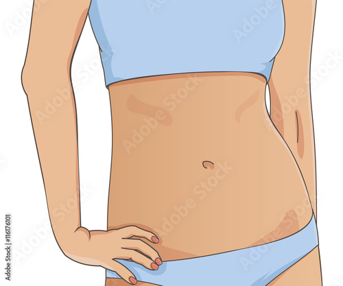 Closeup picture of slim woman waist and arms. Beautiful female tummy, fit stomach. Vector illustration, weight loss and fitness concept.