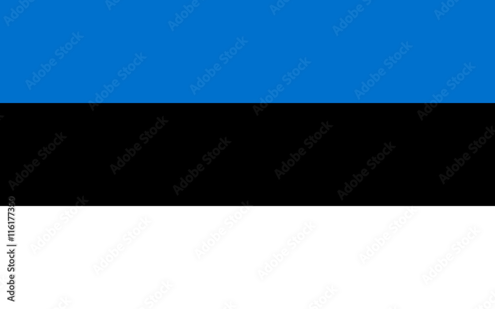 Flag of Estonia Flag of Estonia