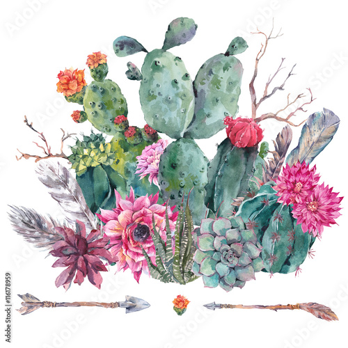 Naklejka Akwarela kaktus, soczyste, kwiaty