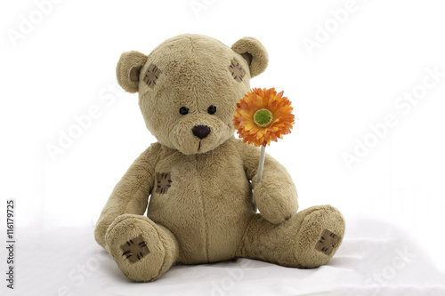 soft toy teddy bear and orange Flower  on white background.