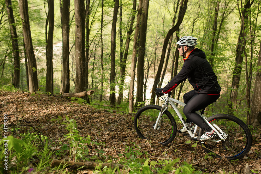Fototapeta premium Cyclist Riding the Bike on a Trail in Summer Forest