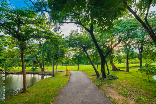 Beautiful sunny day in park with pathway and river