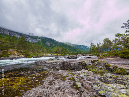 wild river in norwegian landscape