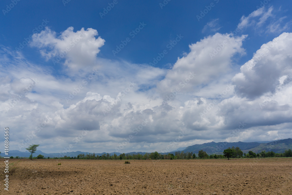 farmland with blue sky and clouds in spring