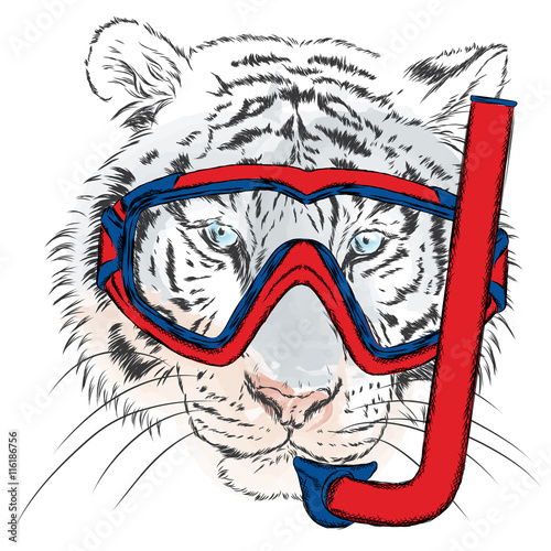 Fototapeta Naklejka Na Ścianę i Meble -  Tiger in a mask for diving. Vacation and sea. Swimming. Sport.