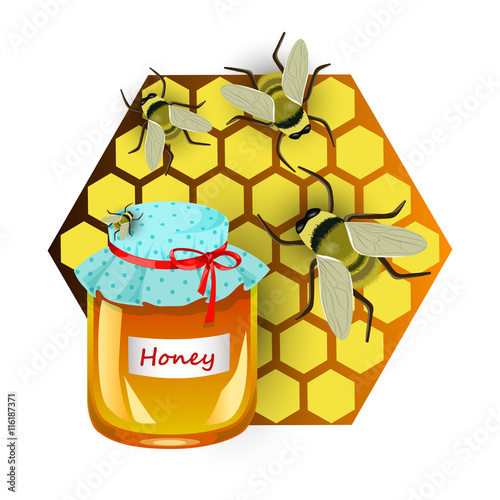 Insulated pot with honey, honeycombs and bees, vector illustration