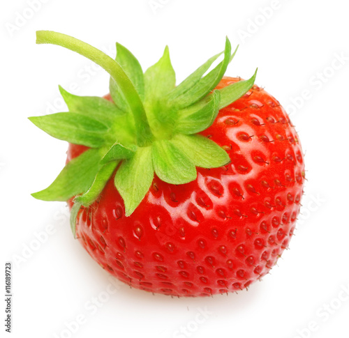 Red berry strawberry