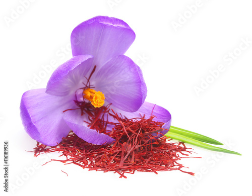 Flower crocus and dried saffron spice photo