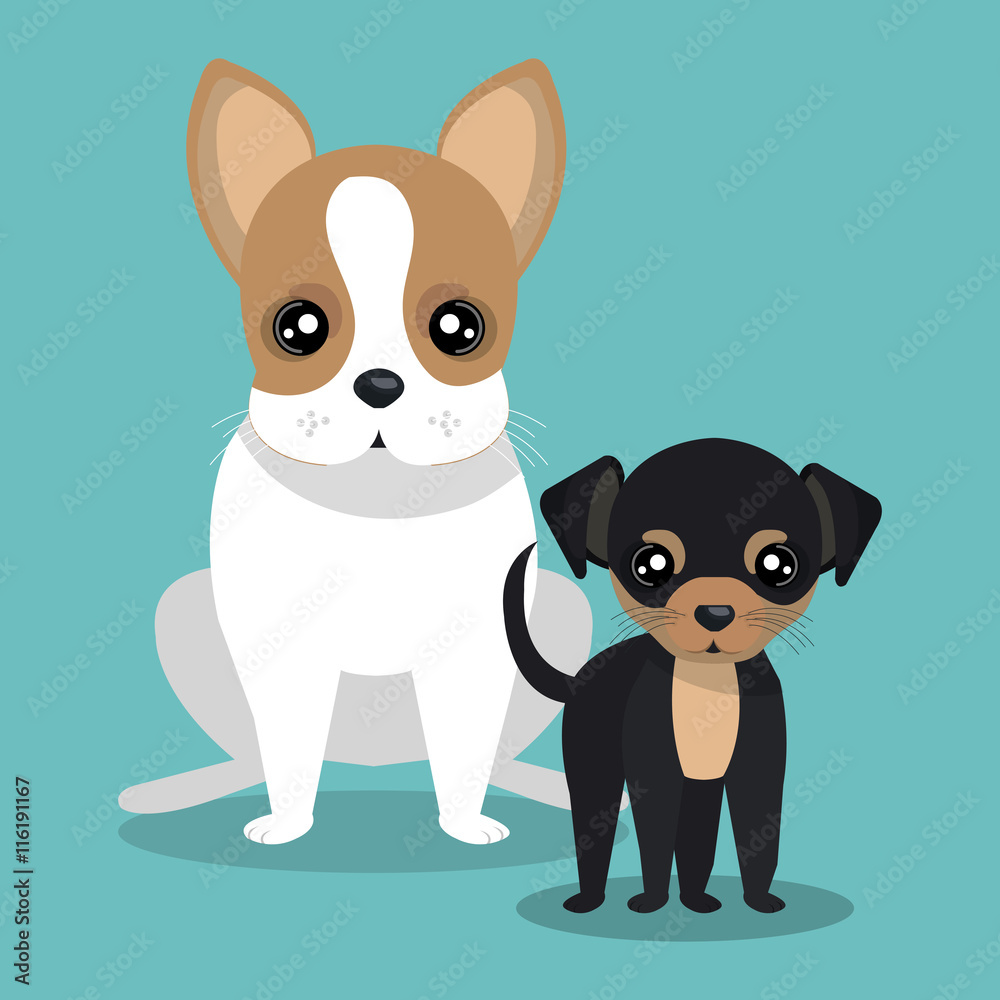 Fototapeta premium couple breed dogs isolated icon design, vector illustration graphic 