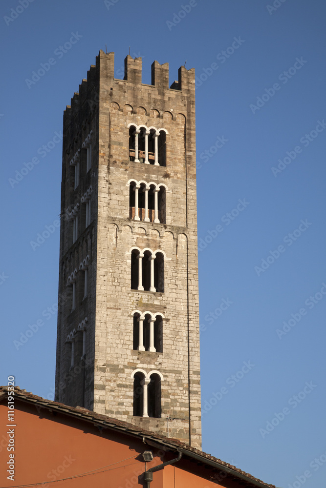 Obraz premium St Frediano Church; Lucca; Italy