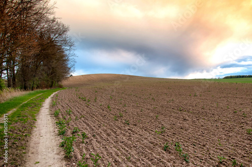 Plowed field in spring time with cloudy sky
