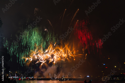 Firework over the rhine river