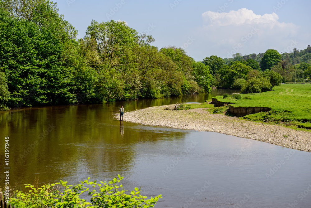 Fototapeta premium Angler on the River Teifi at Newcastle Emlyn