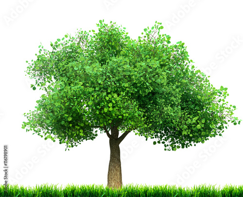 tree and grass 3D illustration