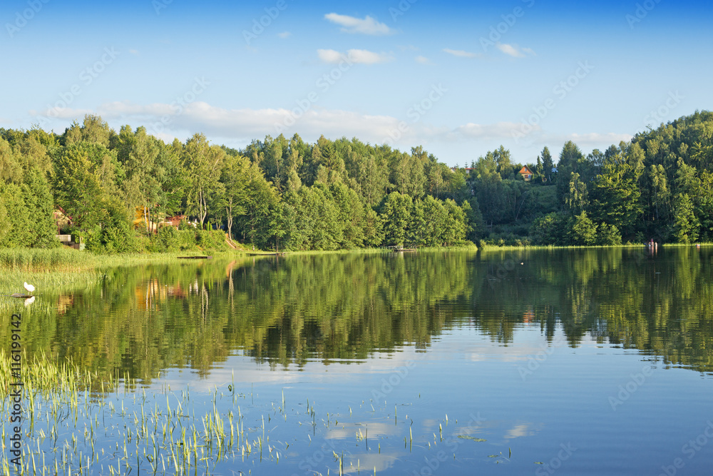 Obraz premium lake and green meadow near the water. Summer time