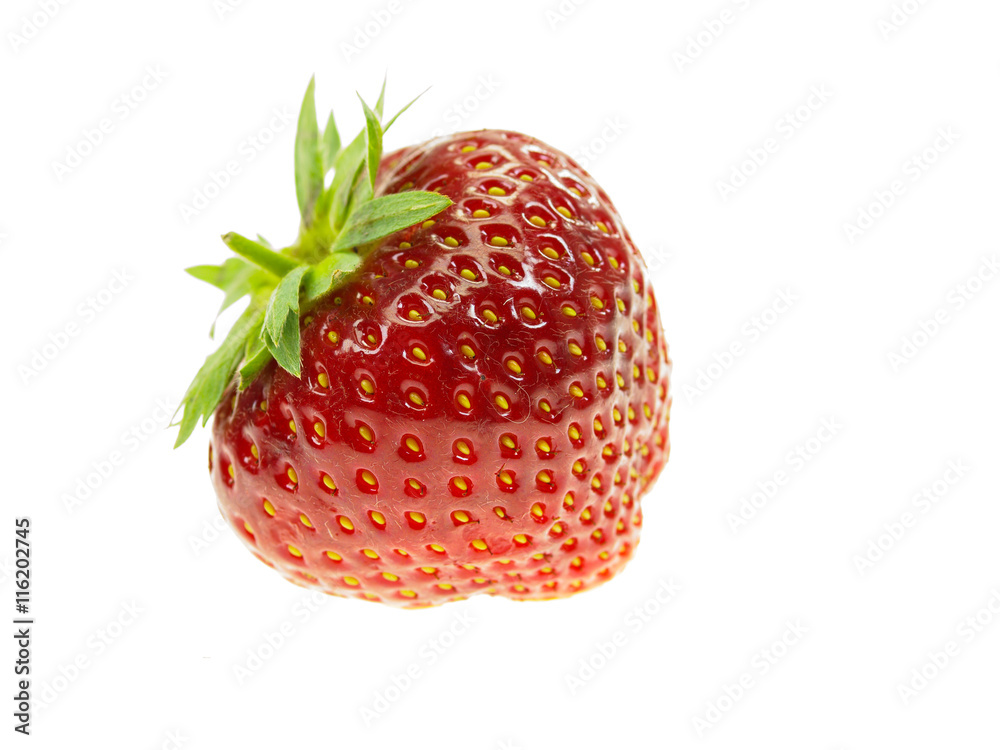 Erdbeere Erdbeere