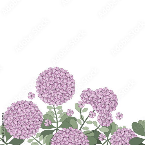 Floral hydrangea design background illustration