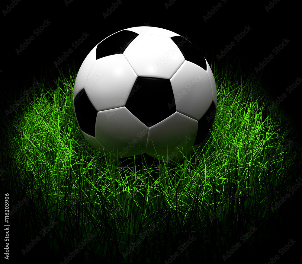 Soccer Ball on Grass 3D illustration Soccer Ball on Grass 3D illustration