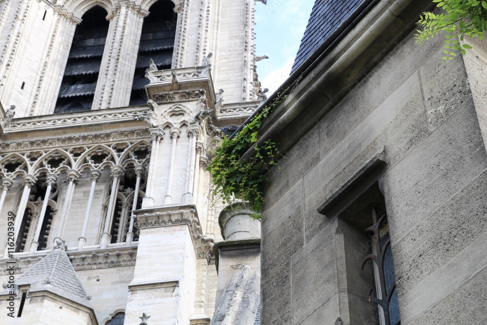Architectural details of Cathedral Notre Dame de Paris. Cathedral Notre Dame de Paris - most famous Gothic, Roman Catholic cathedral Architectural details of Cathedral Notre Dame de Paris. Cathedral Notre Dame de Paris - most famous Gothic, Roman Catholic cathedral