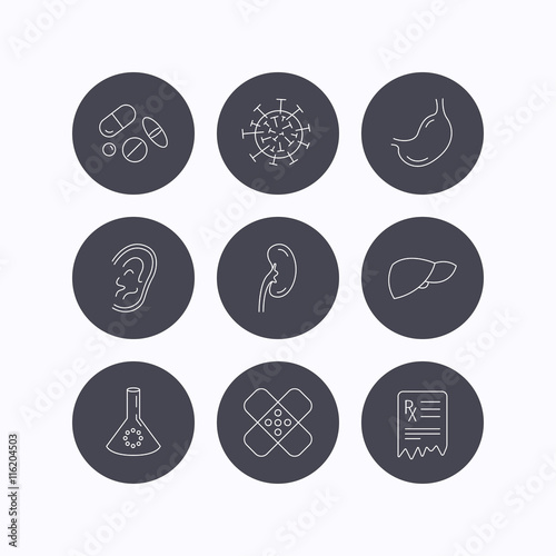 Pills, medical plaster and prescription icons.