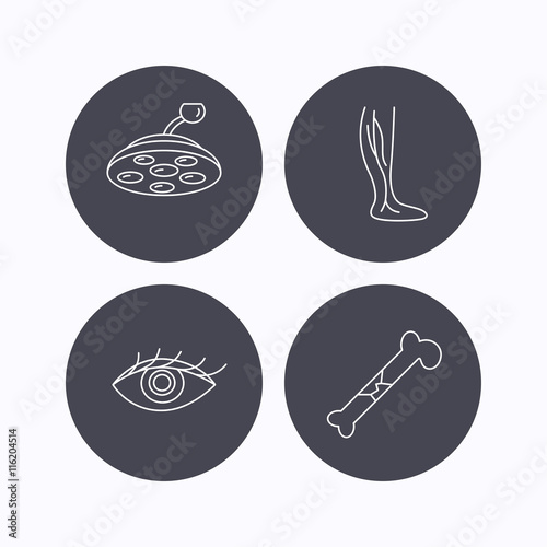 Eye, bone fracture and vein varicose icons.