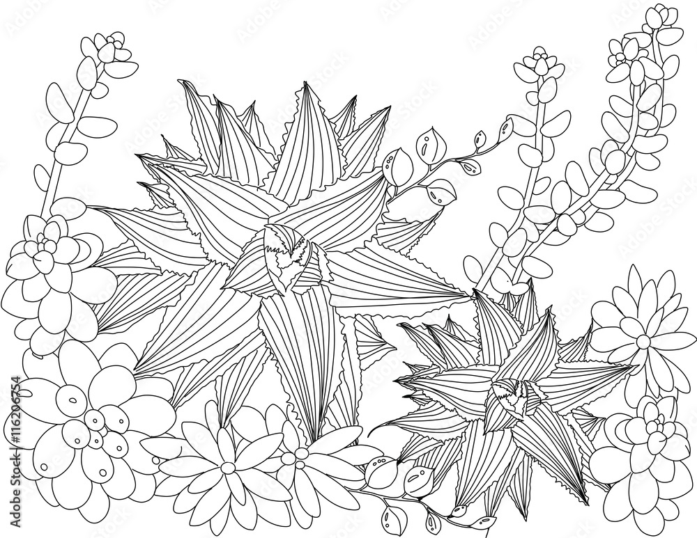 zentangle adult coloring book succulent secret garden stock vector adobe stock