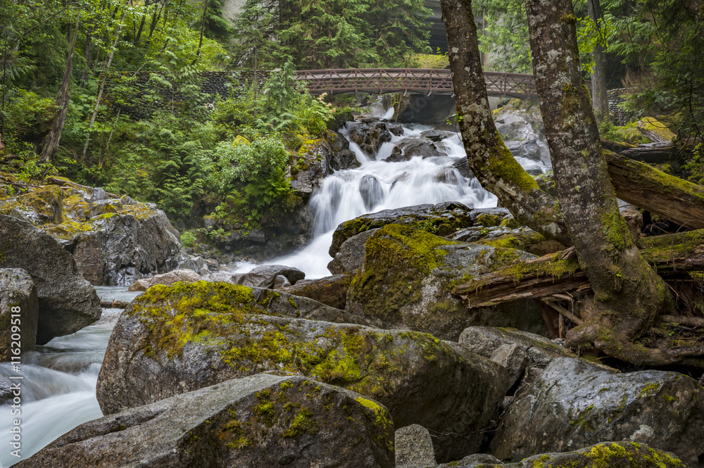 Deception Falls, Skykomish, Washington. Deception Creek crashes down a few steps, then glides over smooth rock under the highway and ends in a square, misty plunge before emptying into the Tye River. Deception Falls, Skykomish, Washington. Deception Creek crashes down a few steps, then glides over smooth rock under the highway and ends in a square, misty plunge before emptying into the Tye River.