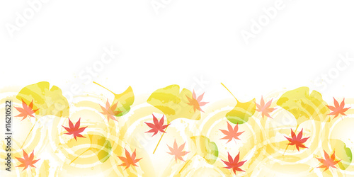 イチョウ　紅葉　秋　背景