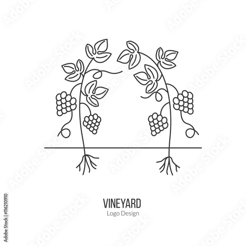 Growing grapes. Single logo in modern thin line style isolated on white background. Outline winery symbol. Simple mono linear pictogram. Stroke raster logotype template.