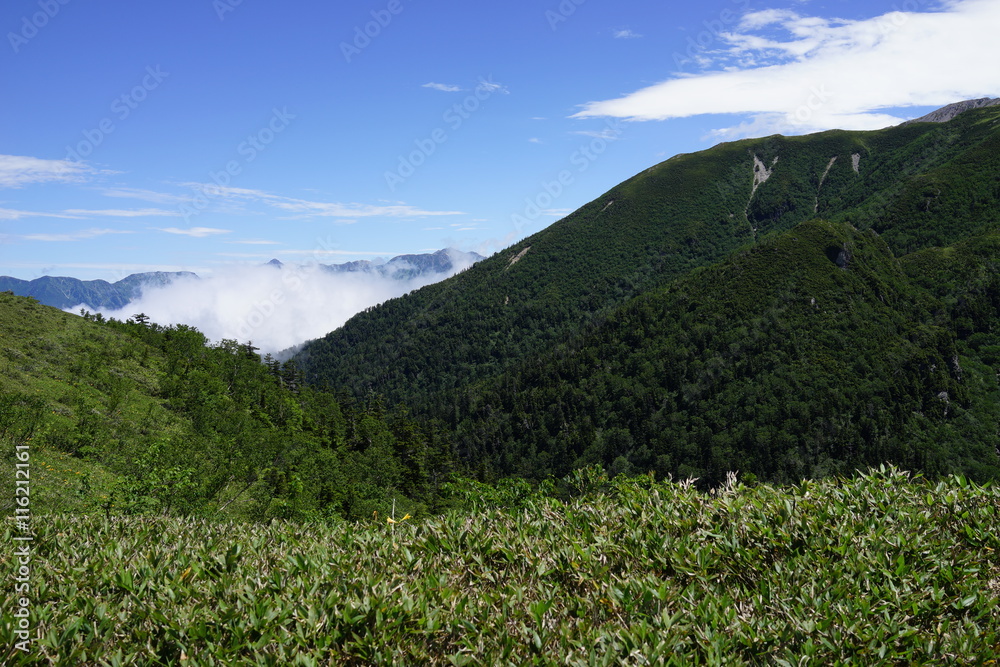 太郎平　登山　山道　空　絶景