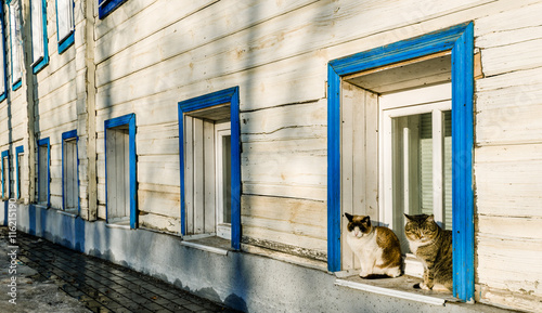 Two cute cats sitting on a window sill of a traditional Russian house in Suzdal, Russia © Aleksandr Vorobev