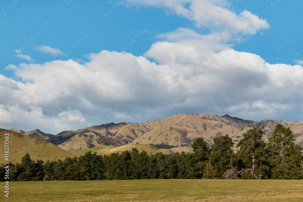 rolling hills in New Zealand with sky and clouds
