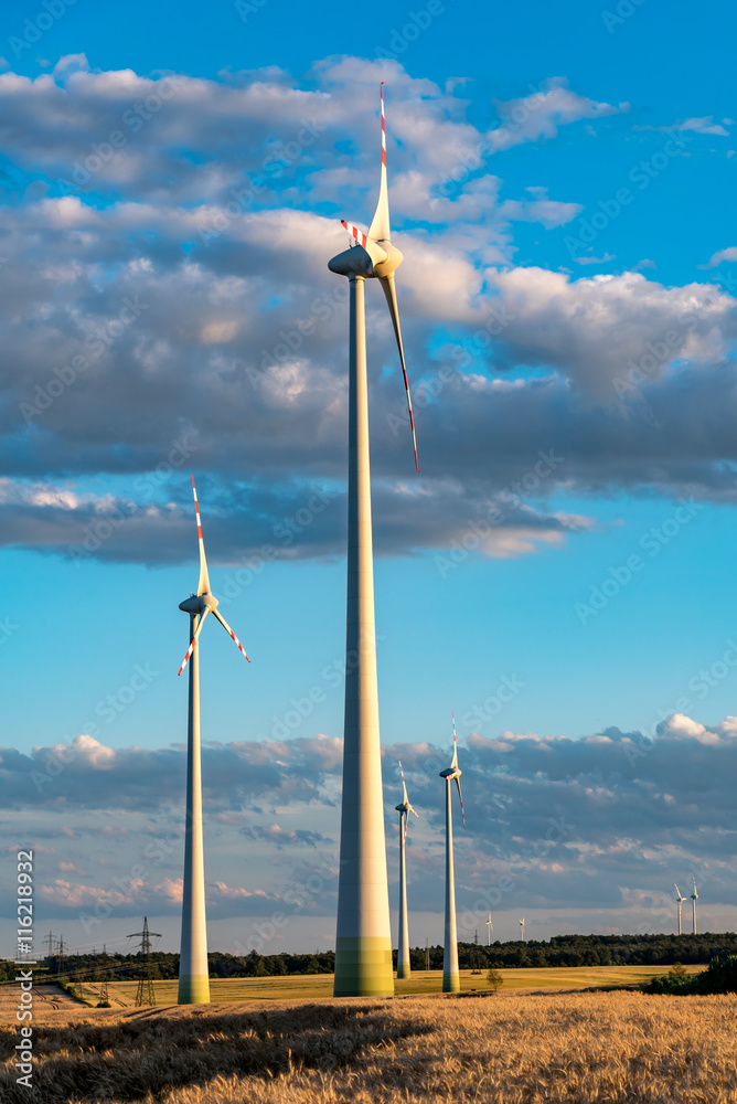 Windmills on the field StockFoto Adobe Stock