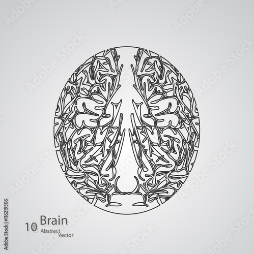 Creative concept of the human brain